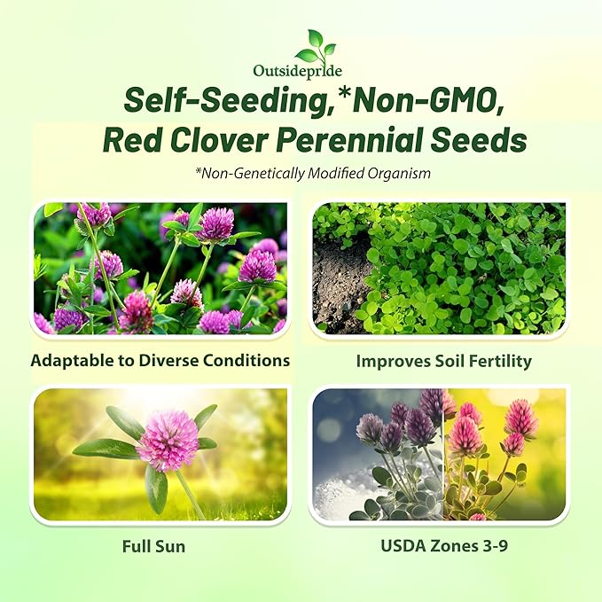 Outsidepride Perennial Red Clover Seeds - 40 lbs. Self-Seeding, Nitrocoated, Inoculated Clover Seeds for Lawn, Yard, Forage, Pasture, Hay, Nitrogen Fixation, Soil Improvement & Crop Rotation Programs