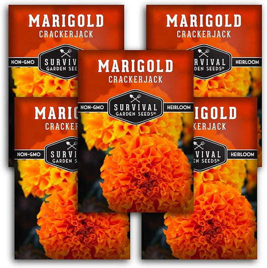 Survival Garden Seeds - Crackerjack Marigold Seed for Planting - 5 Packs with Instructions to Plant and Grow in Your Home Vegetable Garden - Non-GMO Heirloom Variety