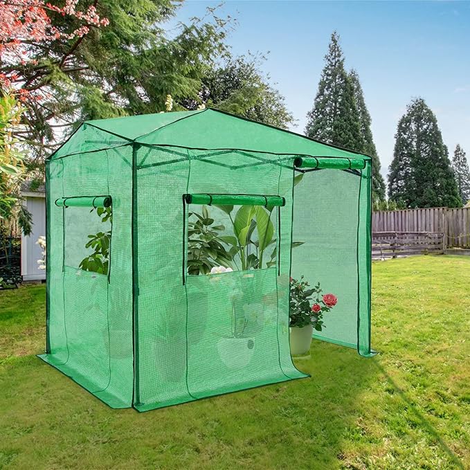 EAGLE PEAK Instant Pop-up Greenhouse, Indoor Outdoor Plant Gardening Green House, Roll-Up Zipper Doors and Side Windows, Walk in 8x6 ft, Green/Clear