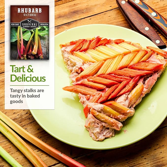 Survival Garden Seeds - Victoria Rhubarb Seed for Planting - 1 Packet with Instructions to Plant and Grow Cold-Tolerant Perennial Spring Vegetables in Your Home Garden - Non-GMO Heirloom Variety