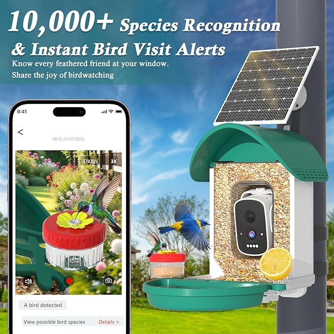 Bird Feeder with Camera, 2-in-1 Bird Bath and Perch, 3K Live View, Squirrel-Proof Cable, 2.4G WiFi, AI Detection, Instant Arrival Alerts, Backyard Birdwatching Gift for Birdlovers