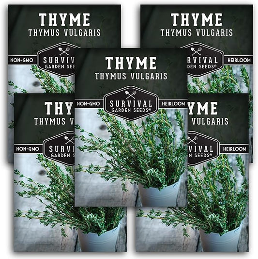 Survival Garden Seeds - Thyme Seed for Planting - 5 Packs with Instructions to Plant and Grow Thymus Vulgaris Herb Plants in Your Home Vegetable Garden - Non-GMO Heirloom Variety - Seed Planting Herb