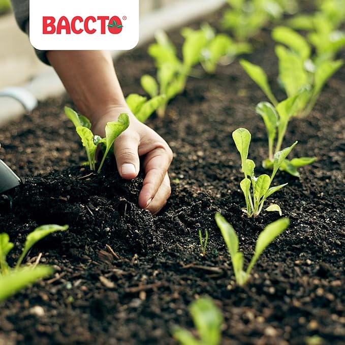 1550P Baccto Top Soil for Lawns, Gardens, and Raised Planting Beds with Reed Sedge, Peat, and Sand, 50 Pounds (6 Pack)