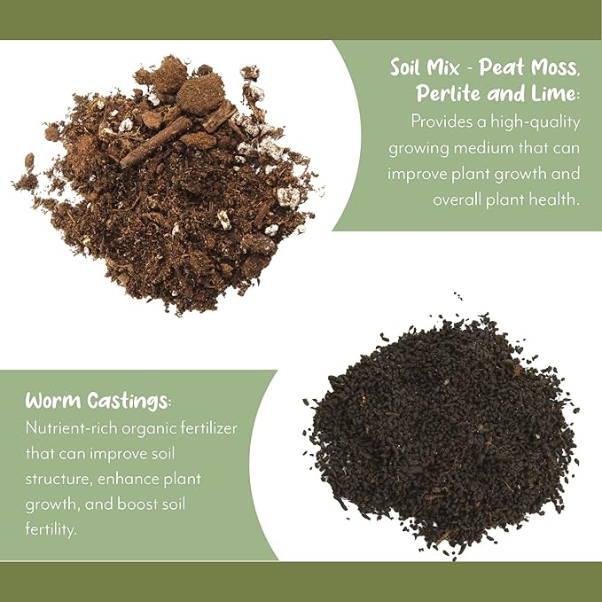 Citrus Tree Potting Soil Mix (4 Quarts), Special Blend for Indoor Oranges, Lemons, Limes and More