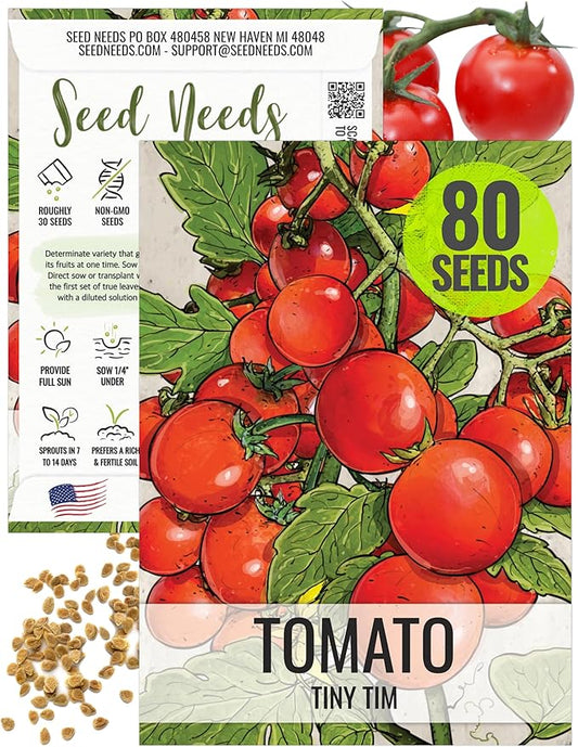 Seed Needs Tiny Tim Tomato Seeds for Planting - Non-GMO, Heirloom & Untreated - Organically Grow an Outdoor Vegetable Garden - Dwarf Plants Produce Cherry Tomatoes (1 Pack)