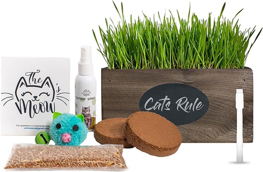 Ornamental Indoor Planter with Pet/Cat Grass Growing kit, Handcrafted in The USA from Red Cedar (AgedWash)