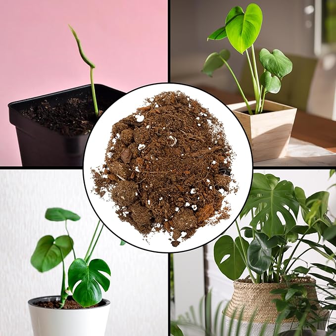 Monstera Houseplant Potting Soil Mix (4 Quarts), Custom Blend for Growing and Repotting