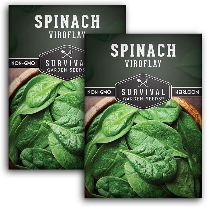 Survival Garden Seeds - Viroflay Spinach Seed for Planting - Packet with Instructions to Plant and Grow Nutritious Leafy Greens in Your Home Vegetable Garden - Non-GMO Heirloom Variety - 2 Pack