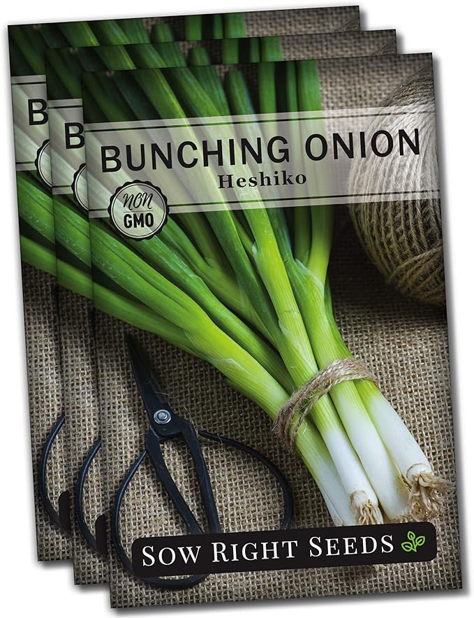 Sow Right Seeds - Heshiko Japanese Bunching Green Onion Seeds for Planting - Non-GMO Heirloom - Instructions to Plant and Grow a Kitchen Garden Indoors or Outdoors - Mild Onion Flavor for Cooking (3)