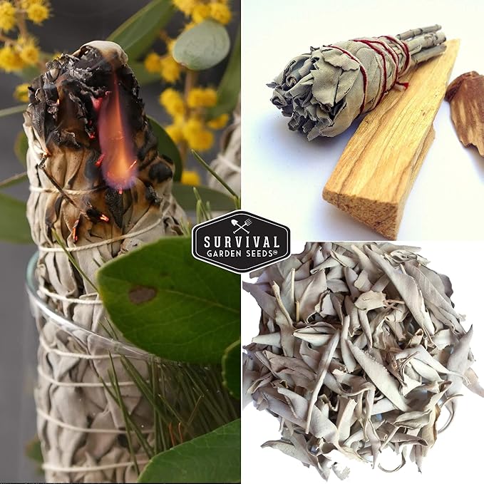 Survival Garden Seeds - 1 Packet White Sage Seed for Planting - Grow Sustainable Smudging Herbs - Packet with Instructions to Plant & Grow in Your Home Garden - Non-GMO Heirloom Variety