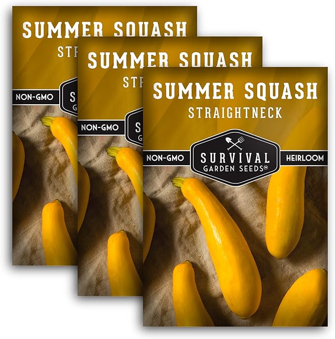 Survival Garden Seeds - Straightneck Summer Squash Seed for Planting - 3 Packs with Instructions to Plant and Grow Yellow Squash in Your Home Vegetable Garden - Non-GMO Heirloom Variety