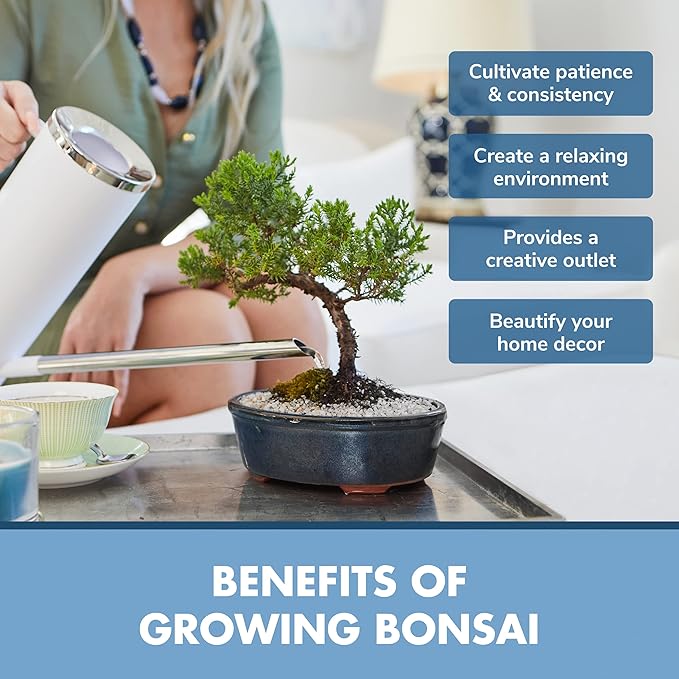 Bonsai Tree Seed Starter Kit - Mini Bonsai Plant Growing Kit, 4 Types of Seeds, Potting Soil, Jute Bags, Pruning Shears Scissor Tool, Plant Markers, Wood Gift Box, Day Gardening Gifts for Women