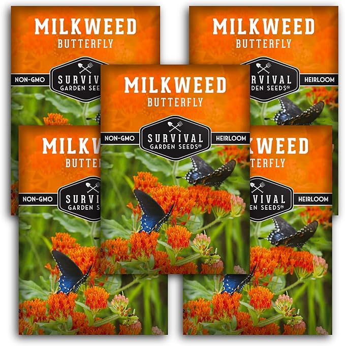 Butterfly Milkweed Seeds for Planting - 5 Packs with Instructions to Grow Asclepias Tuberosa - Attract Butterflies & Help Conservation - Non-GMO Heirloom Open-Pollinated - Survival Garden Seeds