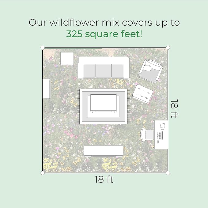 California Wildflower Seed Mix, Covers 325 Sq Ft, 22 Flower Varieties, Over 54,000 Seeds - Created By Nature