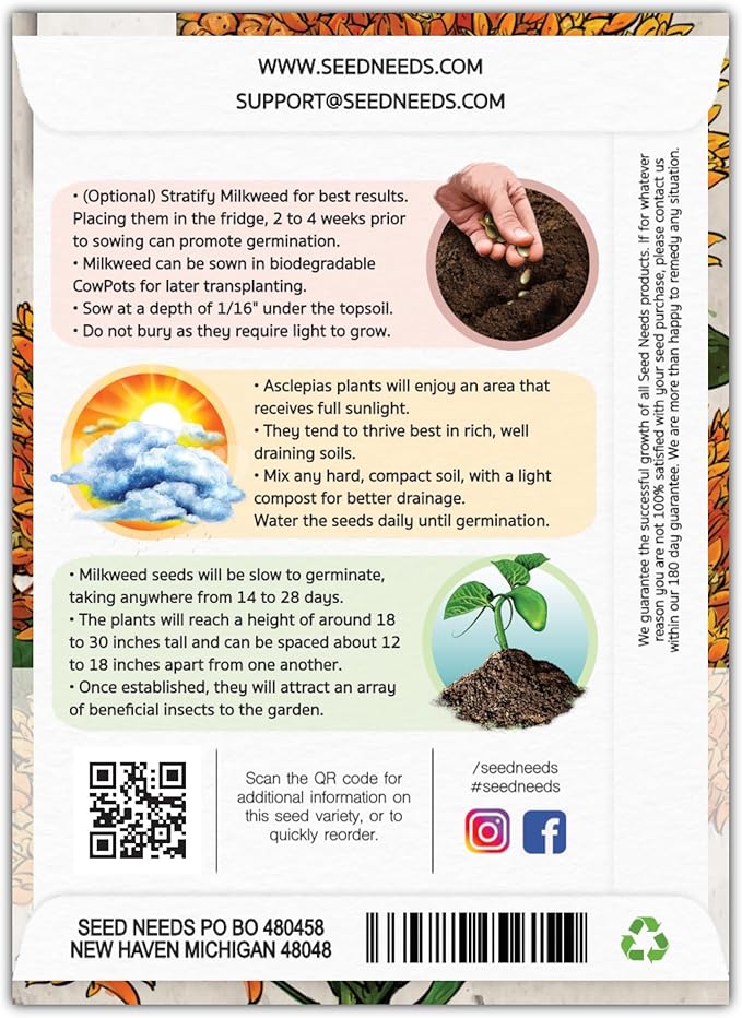 Seed Needs Orange Butterfly Milkweed Seeds for Planting - Heirloom & Untreated - Grow a Butterfly Garden to Attract Monarch Butterflies & Pollinators (5 Packs)