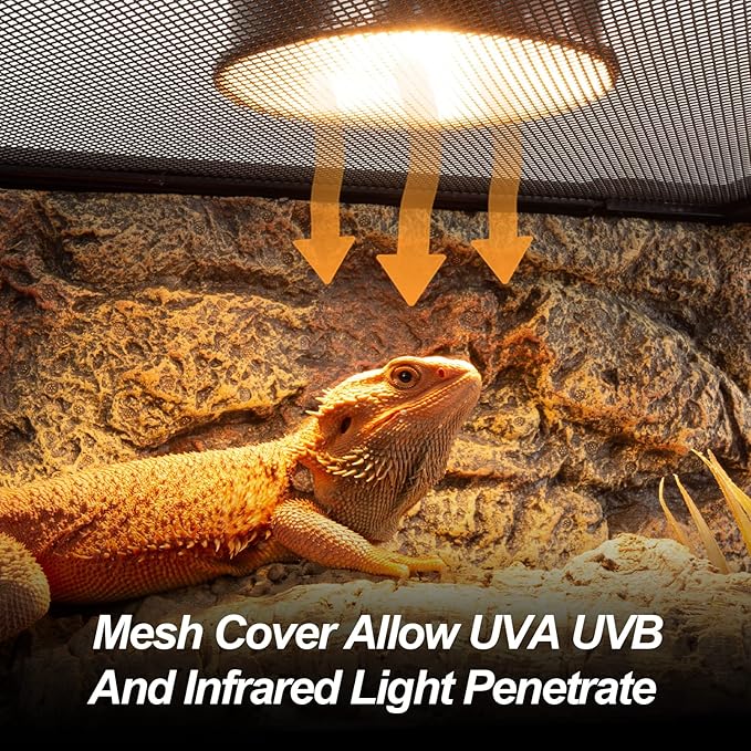 Large Reptile Tank 25 Gallon, 360°Full Vision Glass Reptile Terrarium with Top Mesh Lid for Beaded Dragon Lizard Gecko Snake Hermit Crab Use, 30"(W) X 12"(D) X 16"（H）