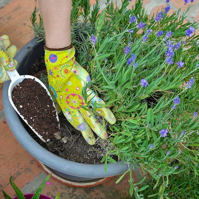 Premium Lavender Potting Mix 4qt, Promotes Lavender Blossoming, Perfect for Indoor and Outdoor Gardening