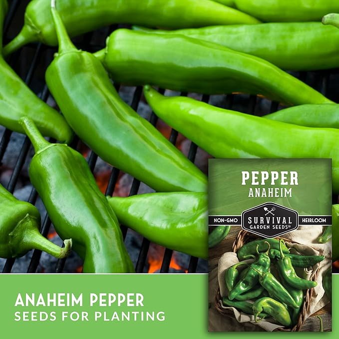Survival Garden Seeds Anaheim Chili Pepper Seed for Planting - 2 Packets with Instructions to Plant & Grow Mild to Medium Hot Chile Peppers in Your Home Vegetable Garden - Non-GMO Heirloom Variety