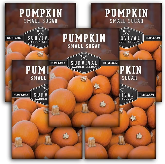 Survival Garden Seeds - Small Sugar Pumpkin Seed for Planting - 5 Packs with Instructions to Plant and Grow Pie Pumpkins in Your Home Vegetable Garden - Non-GMO Heirloom Variety Plant Seed