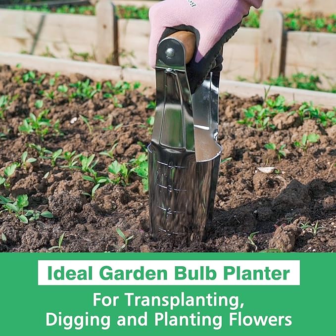 Berry&Bird Garden Bulb Planter with 4 Inches Depth Mark, Stainless Steel Gardening Bulb Transplanter Tool with Short Handle for Planting Flowers Tulips, Daffodils, Lily, Dahlias