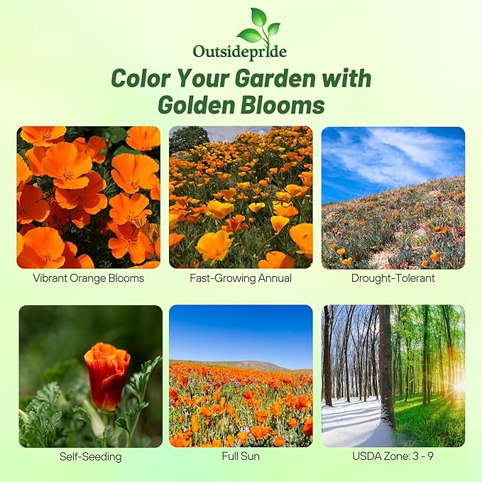 Outsidepride Eschscholzia Orange California Poppy Seeds - 5 lbs. Annual, Native, Drought Tolerant Wildflower Seeds w/Vibrant Blooms for Full Sun & Drought-Tolerant Pollinator-Friendly Gardens
