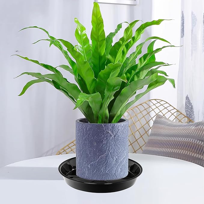 6 Pack Plant Saucer Drip Tray, 4 5 6 8 9 10 12 14 16 18 inch, Heavy Sturdy Plastic Planter Flower Pot Saucers for Indoor Outdoor Garden, Plant Water Drip Trays for pots Base (6", Black)