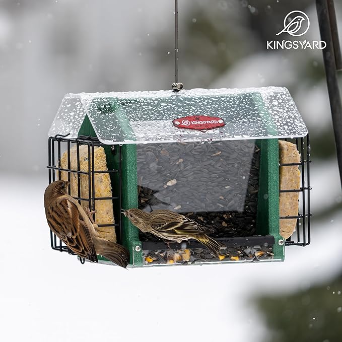 Kingsyard Hopper Bird Feeder for Outdoors Hanging, Recycled Plastic Double Suet Feeder with Clear View Windows, 3 LBS Seed, Cardinal Woodpecker Bluebird Feeder, Green