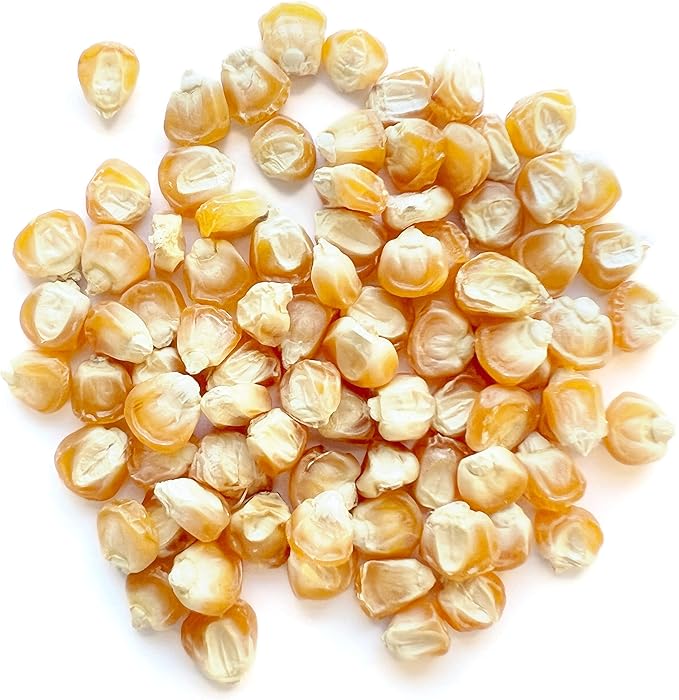 The Old Farmer's Almanac Heirloom Sweet Corn Seeds (Golden Bantam) - Approx 75 Seeds - Non-GMO, Open Pollinated, USA Origin