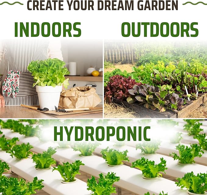 Rooted Acre 8 Lettuce & Greens Seed Vault - 1200 Non-GMO, Vegetable Heirloom Seeds for Planting Indoor or Outdoor - Hydroponic Garden Seeds - Salad Greens Mix - Spinach, Kale, Lettuce, and More