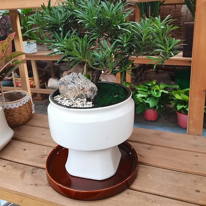 Ceramic Plant Saucer 9 Inch, Round Plant Trays for Indoors/Outdoors, Flower Pot Saucers for Holding Water Drips and Soil, Ceramic Drainage Tray for Plant Pot (Brown)