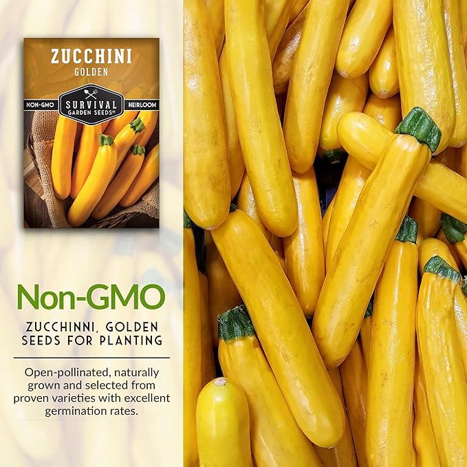 Survival Garden Seeds - Golden Zucchini Seeds for Planting - 5 Packs with Instructions to Plant and Grow Yellow Zucchini Vegetables in Your Home Vegetable Garden - Non-GMO Heirloom Variety