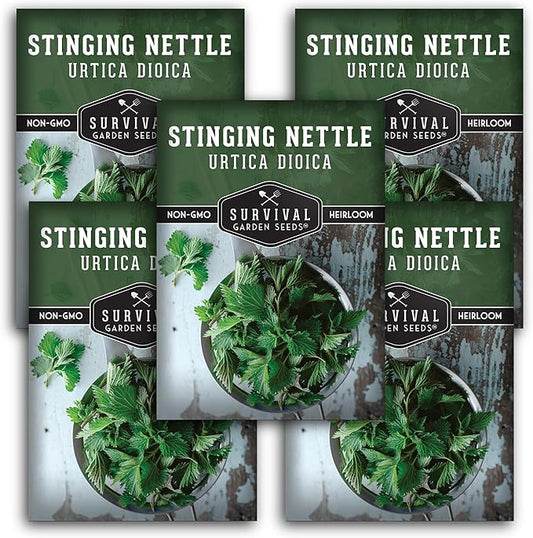 Stinging Nettle Seed for Planting - 5 Packets with Instructions to Plant and Grow Medicinal Herb Common Stinging Nettle in Your Home Herb Garden - Non-GMO Heirloom Variety - Survival Garden Seeds