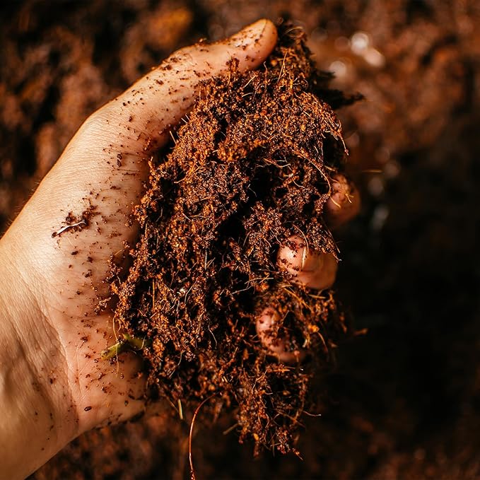 Coco Bliss Coco Coir Bricks (250gm Bricks, 70-Pack) - Organic Coco Coir for Plants - OMRI-Listed Coconut Coir for Plants - Coconut Coir Bricks - Coco Peat for Plants, Garden Soil, & Organic Mulch