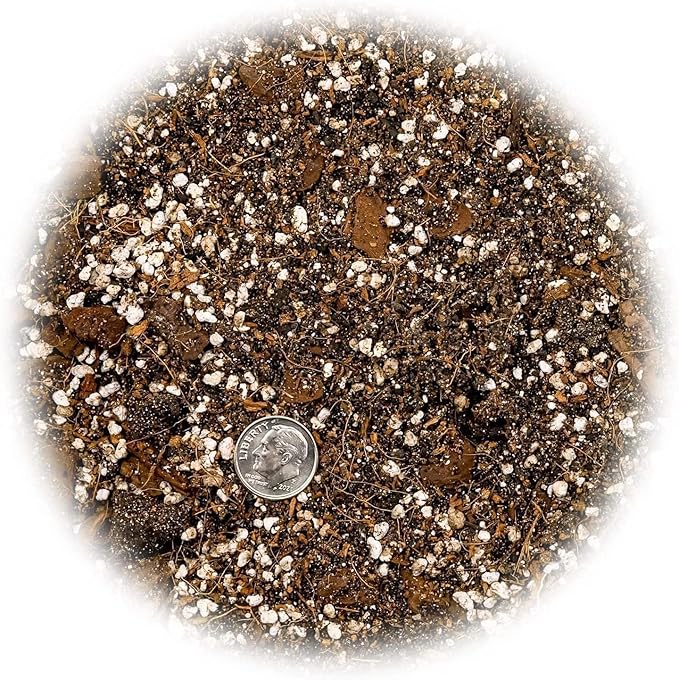 Banana Tree Potting Soil - Professional Grade Mix for Growing Delicious Bananas - Enhanced with Essential Nutrients for Bountiful Harvests (3 Quart)