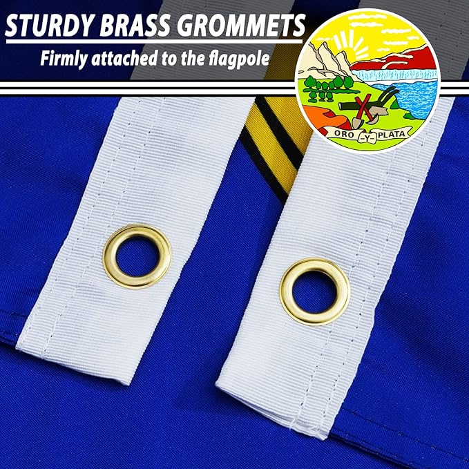 FLAGWIN Montana Flag 3x5 FT - 3 Ply Double Sided Polyester Flags with Brass Grommets - Vivid Color and Fade Proof State of Montana Flag 3x5 Outdoor