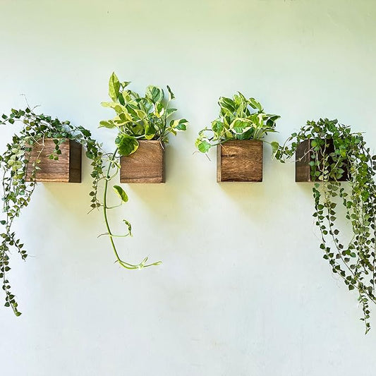 LaLaGreen Wood Planter Boxes (4 Pack, 4x4 Inch) Small Square Wooden Wall Mounted Flower Pot for Indoor Plants, Window Box Mount Hanging Herb Planters Outdoor Plant Holder Vertical Garden Home Decor