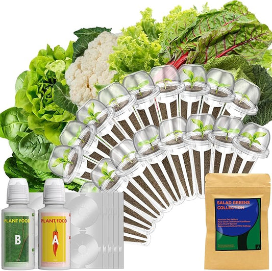 LYKOCLEAN Salad Buttercrunch Lettuce Seeds for AeroGarden, iDOO, Ahopegarden Hydroponics Growing System, 18-pods, 350+ Seeds (Include Spinach, American Fast Lettuce,Paris Island Lettuce, Cauliflower)