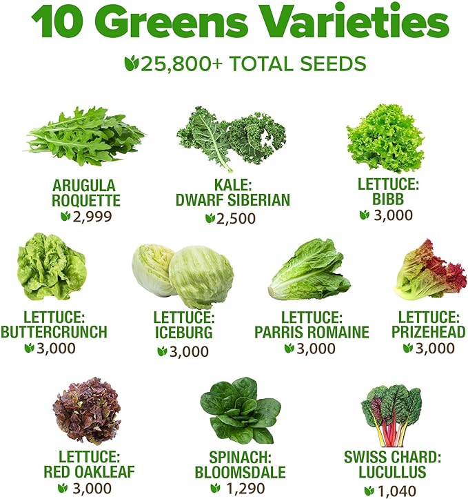 5,000+ Heirloom Lettuce Seeds for Planting Indoors - 95% Germination, Non-GMO Greens Seeds, (10 Varieties): Kale, Spinach, Butter, Romaine, Arugula & More - Lettuce Seeds for Hydroponic Home Garden