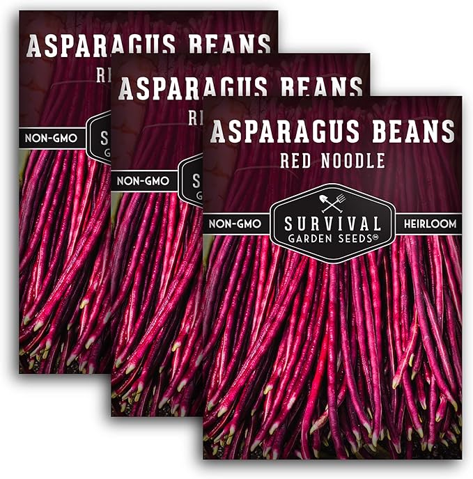 Survival Garden Seeds - Red Noodle Asparagus Bean Seed for Planting - 3 Packs with Instructions to Plant and Extremely Long Stringless Beans in Your Home Vegetable Garden - Non-GMO Heirloom Variety