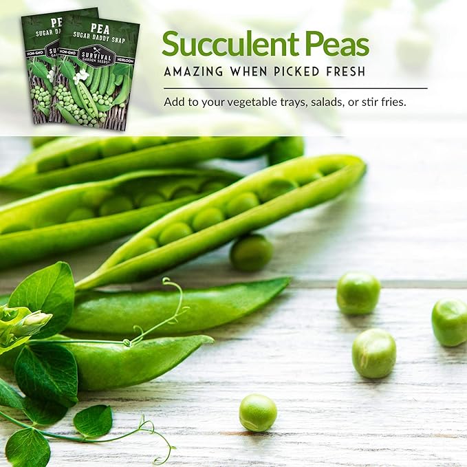 Survival Garden Seeds - Sugar Daddy Snap Pea Seed for Planting - 5 Packs with Instructions to Plant and Grow in Delicious Pea Pods Your Home Vegetable Garden - Non-GMO Heirloom Variety