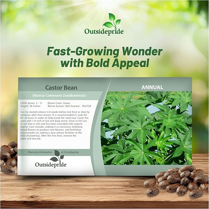 Outsidepride 50 Seeds Annual Ricinus Communis Castor Bean Zanzibariensis Flower Seeds for Planting
