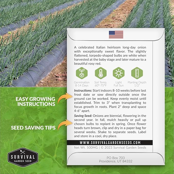 Tropea Rossa Tonda Onion Seeds for Planting - 1 Packet with Instructions to Plant and Grow Italian Long Day Onions in Your Home Vegetable Garden - Non-GMO Heirloom Variety - Survival Garden Seeds