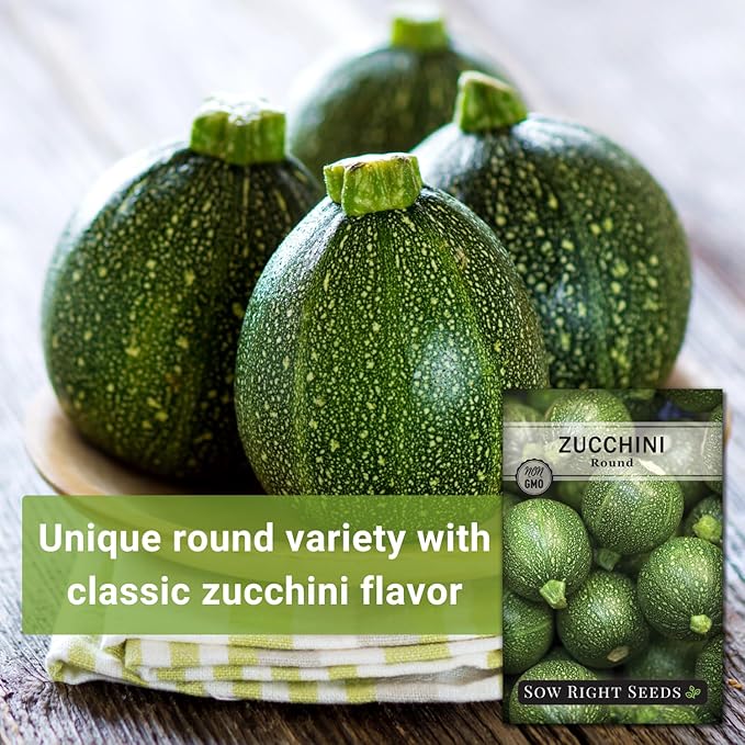 Sow Right Seeds - Round Zucchini Seed for Planting - Non-GMO Heirloom Packet with Instructions to Plant a Home Vegetable Garden - Unique Globe Squash - Summer Vining Variety (3)
