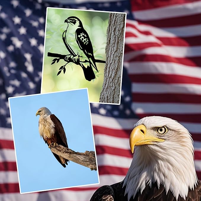 Metal Hawk Bird Decor, Outdoor Garden Statues & Patio Ornament for Outdoor Spaces, Yard Art, Tree Decoration, Memorial Gifts for Women