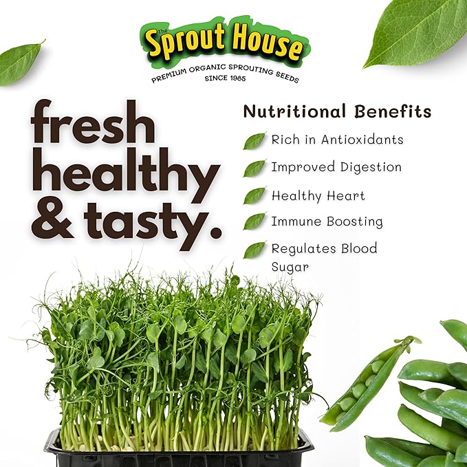 The Sprout House Green Peas – 1LB of Certified Organic Green Pea Sprouting Seeds – Plant, Sprout or Cook in Soup