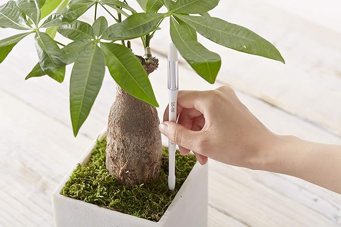 Aquameter - Medium - Black - Bundle of 5 - Leave-in Soil Moisture Meter for Potted Plants - Plant Water Sensor - Refillable