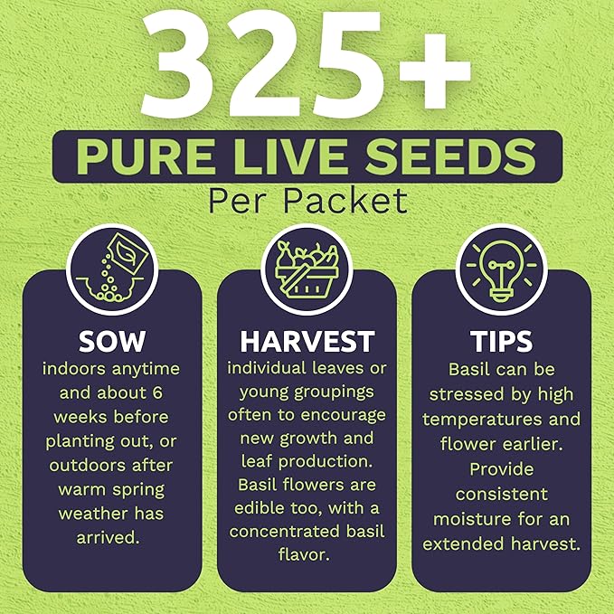Organic Thai Basil Seeds – Seed Packet of Over 350 Open Pollinated Non-GMO Seeds – Sweet Yards Seed Co.