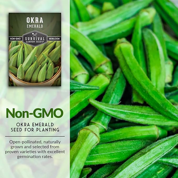Survival Garden Seeds - Emerald Okra Seed for Planting – 1 Packet with Instructions to Grow Tender, Large Okra Plant Pods in Your Home Vegetable Garden – Non-GMO Heirloom Variety Seed