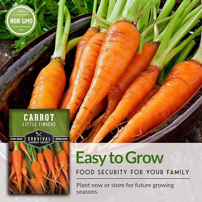 Survival Garden Seeds - Little Fingers Carrot Seed for Planting - Packet with Instructions to Plant and Grow Delicious Baby Carrots in Your Home Vegetable Garden - Non-GMO Heirloom Variety - 5 Pack