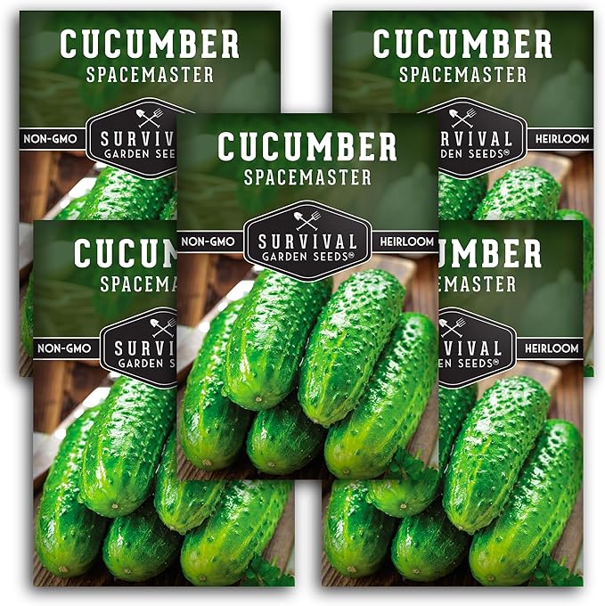 5 Packs Spacemaster Cucumber Seed for Planting - Packet with Instructions to Plant Container Friendly Cucumbers in Your Home Vegetable Garden - Non-GMO Heirloom Variety - Survival Garden Seeds